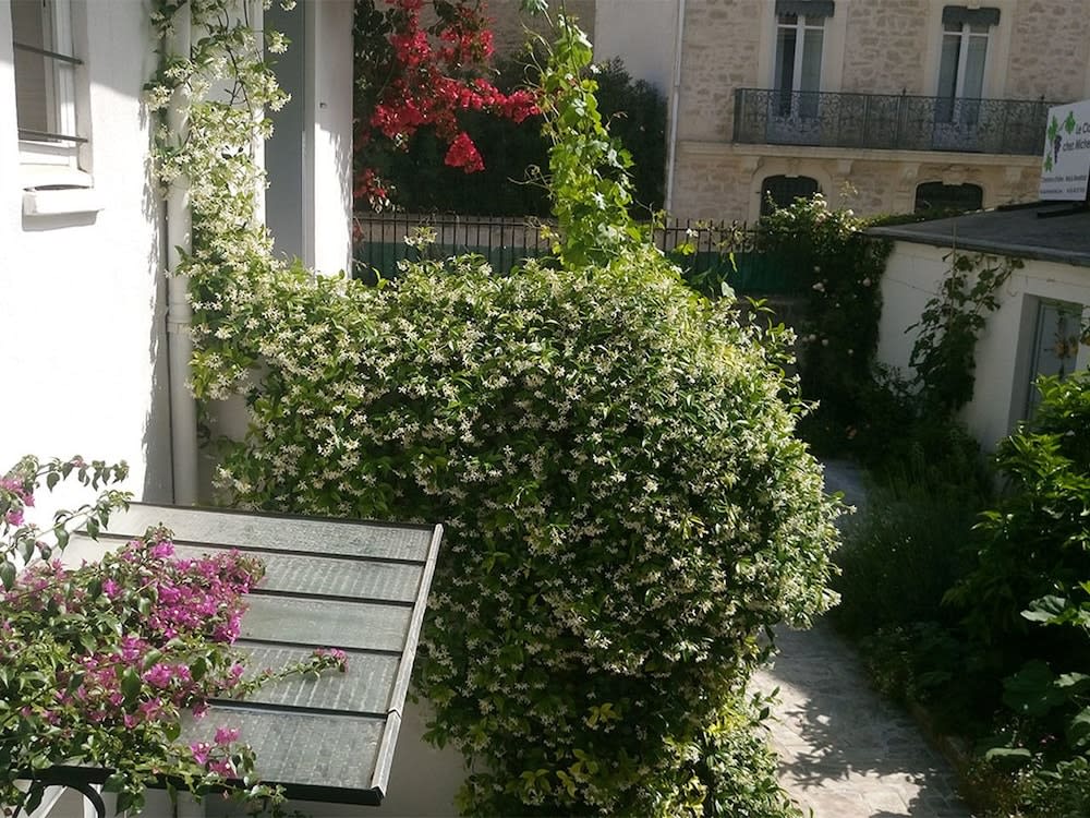 Le Clos Chez Michel 1