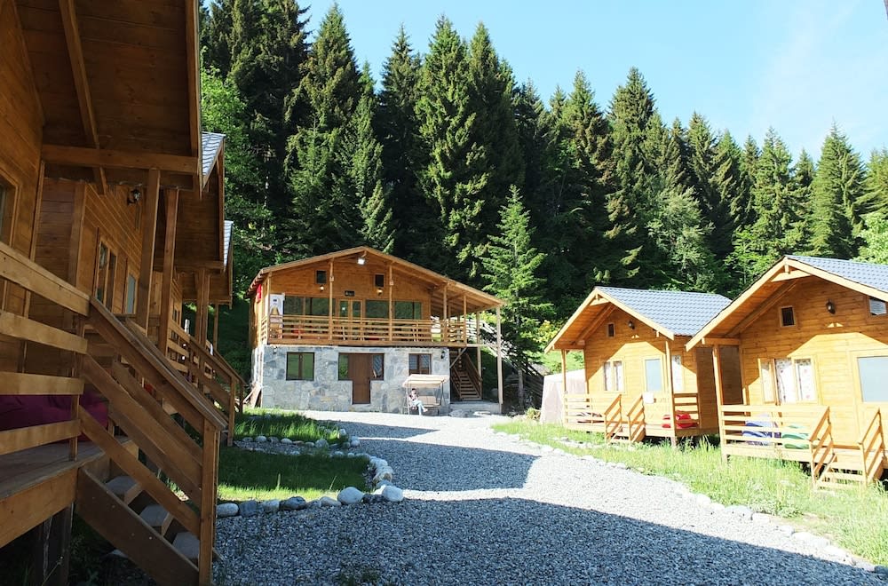 Mountain Cabins 1