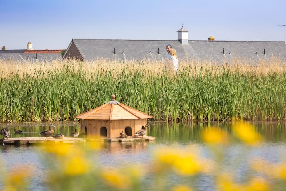 The Bay Filey, Filey Best deals