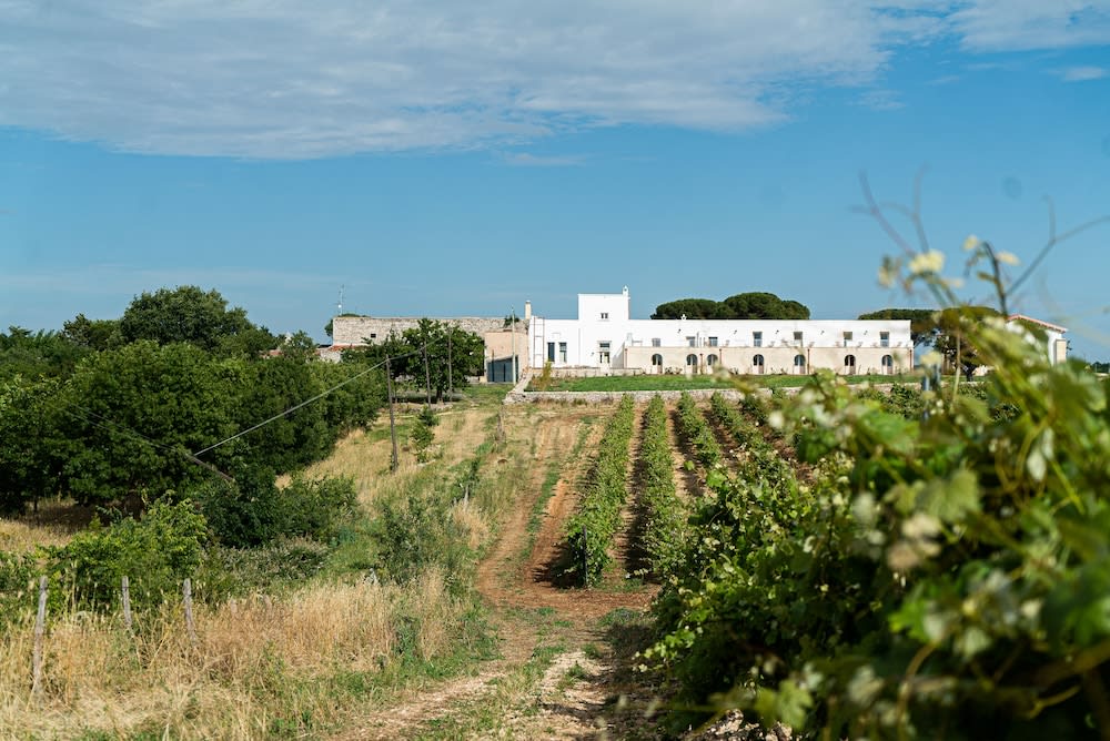 Le Masserie Zucaro 1