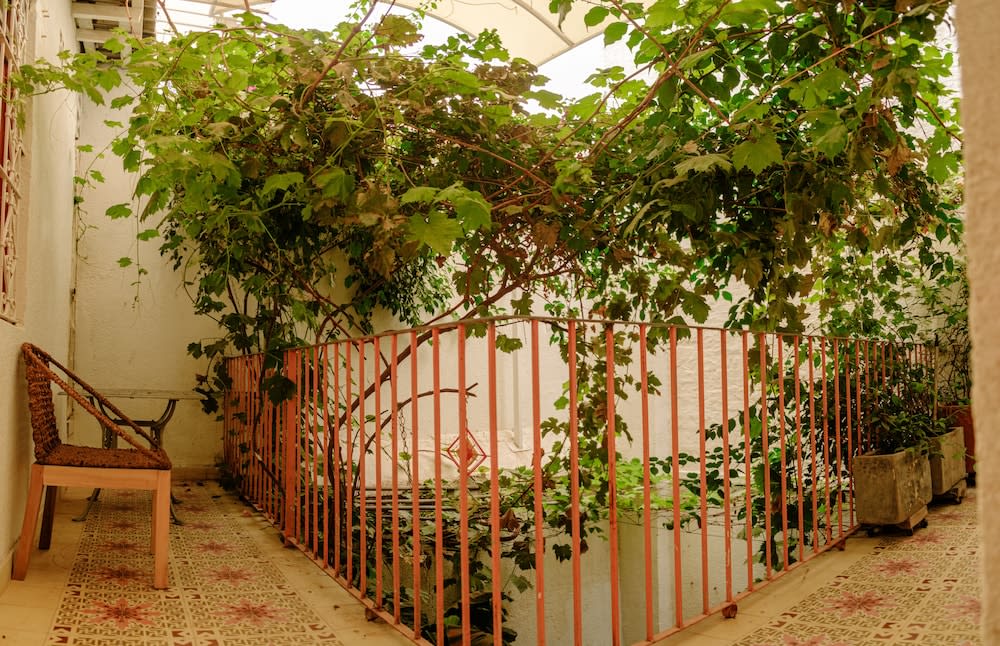 Casa Rosa Hotel 2