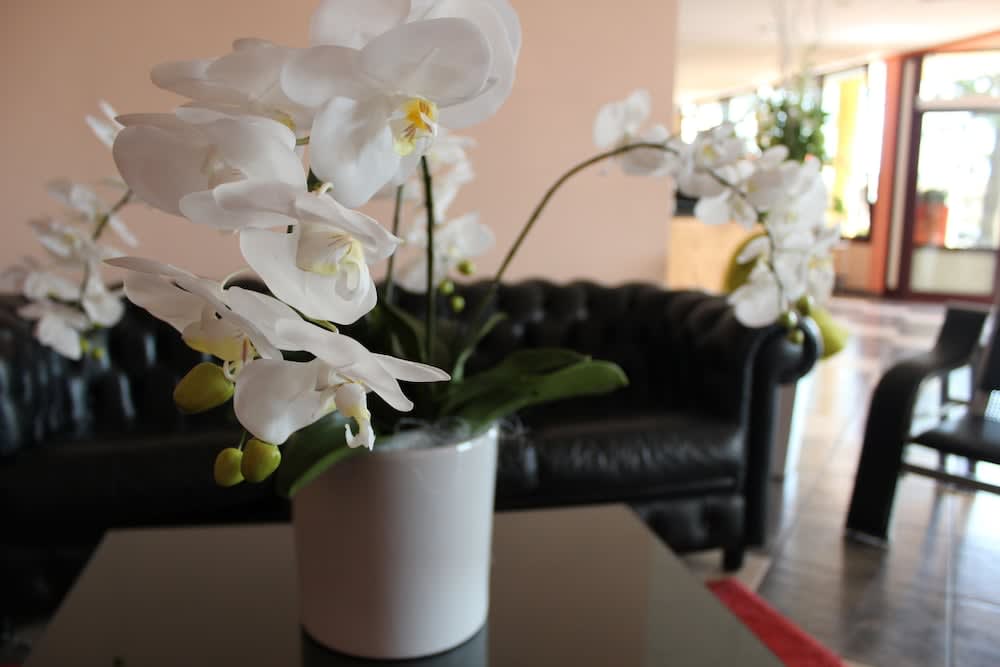 Piccolo Hotel Nogara 5