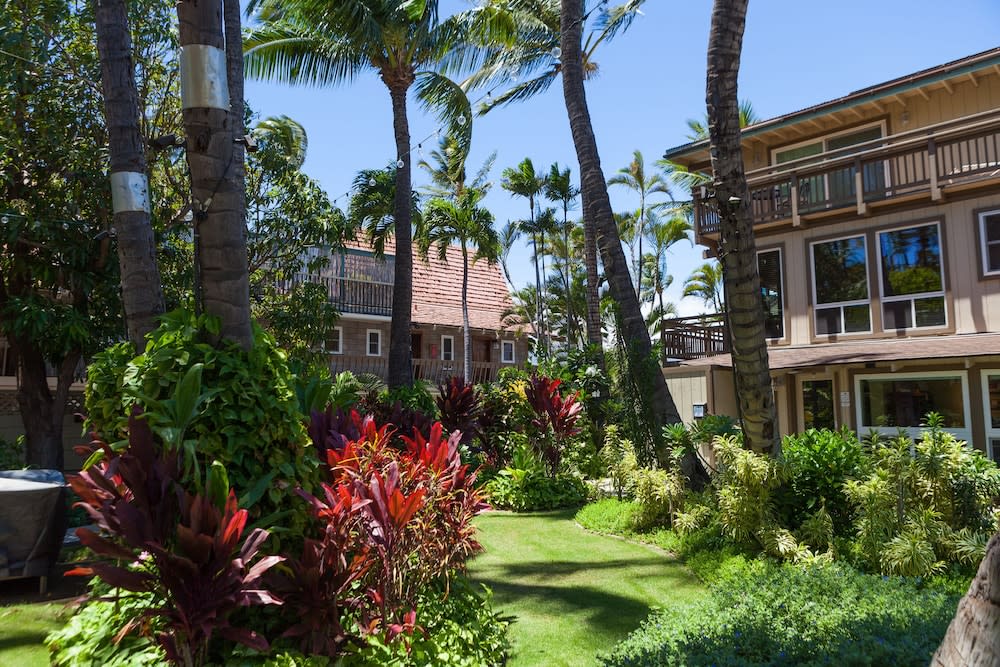 Kohea Kai Hotel Maui 1