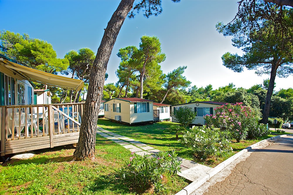 Arena Indije Mobile Homes 1