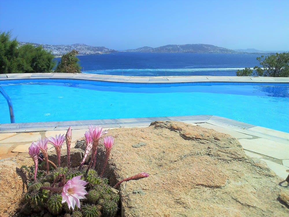 Adikri Villas & Suites 1
