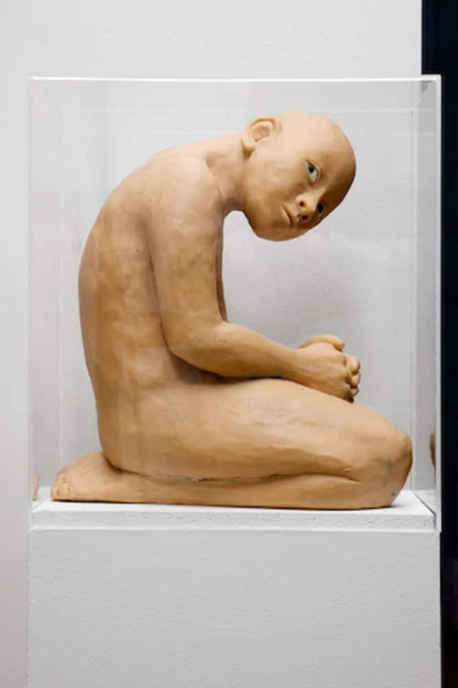 101 Hotel, a Member of Design Hotels 5