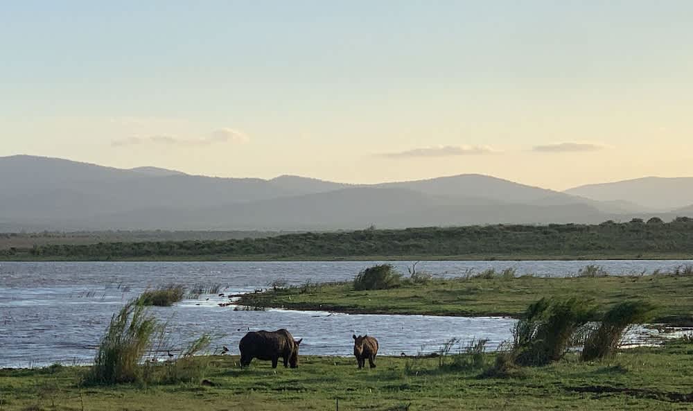 Shayamoya Tiger Fishing and Game Lodge 1