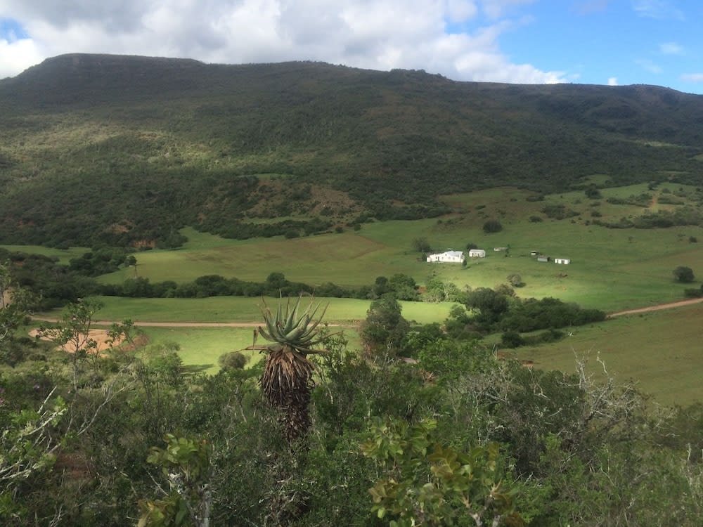 Kromrivier Farm Stays & B&B Near Addo Elephant Park 1
