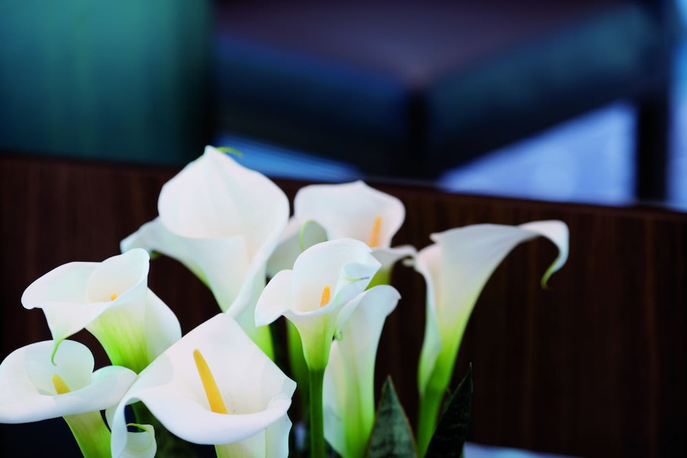 Movenpick Hotel Frankfurt City 5