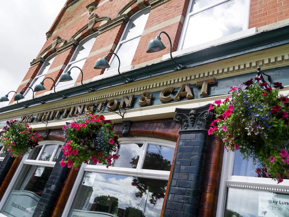The Whittington and Cat 1