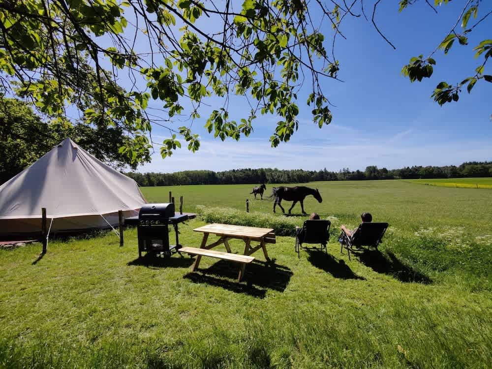 Under Canvas Bornholm 1
