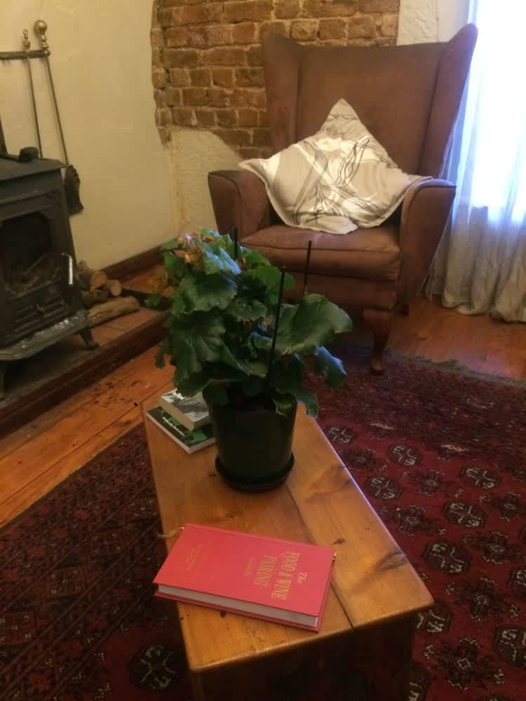 Harfield Guest Villa 3