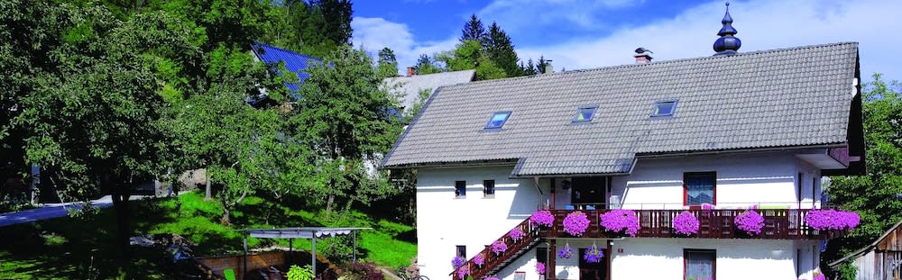Apartments Lake Bohinj Medja 1