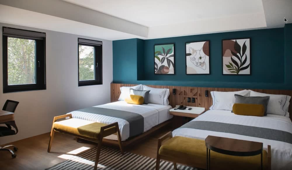 Hotel Flamencos Centro Histórico 1