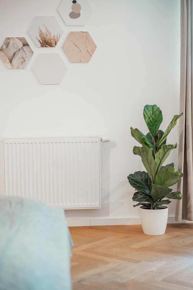 The 15's Apartments 4