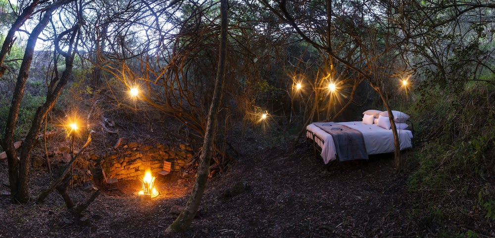 Stargazer Camp - Bellevue Forest Reserve 1