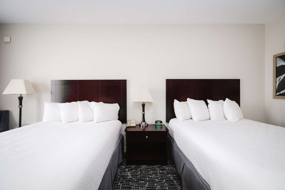 Best Western Sugar Land - Richmond 3