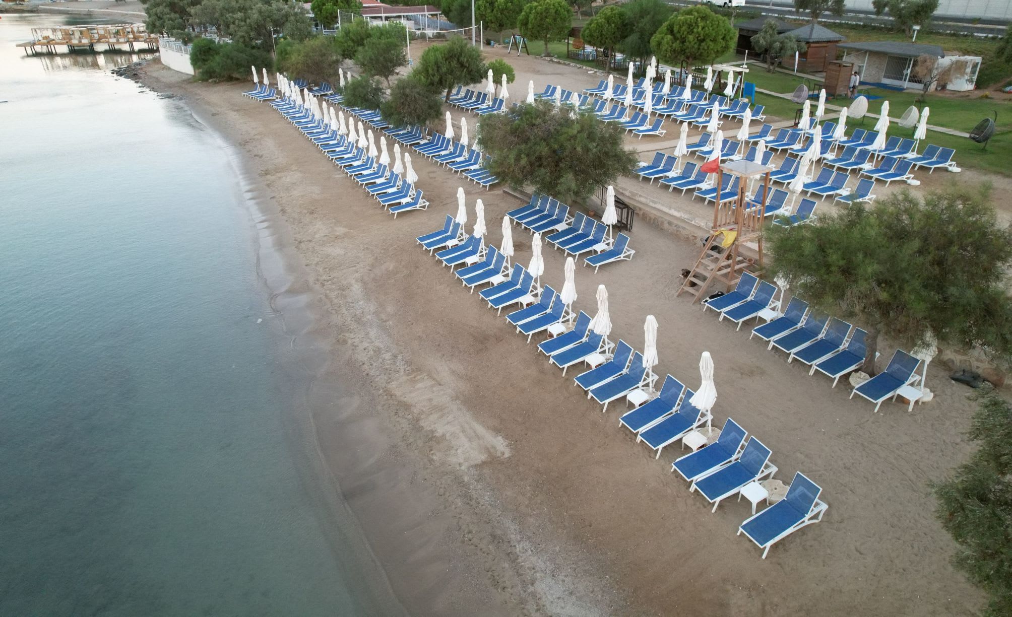 Maxeria Blue Didyma 4