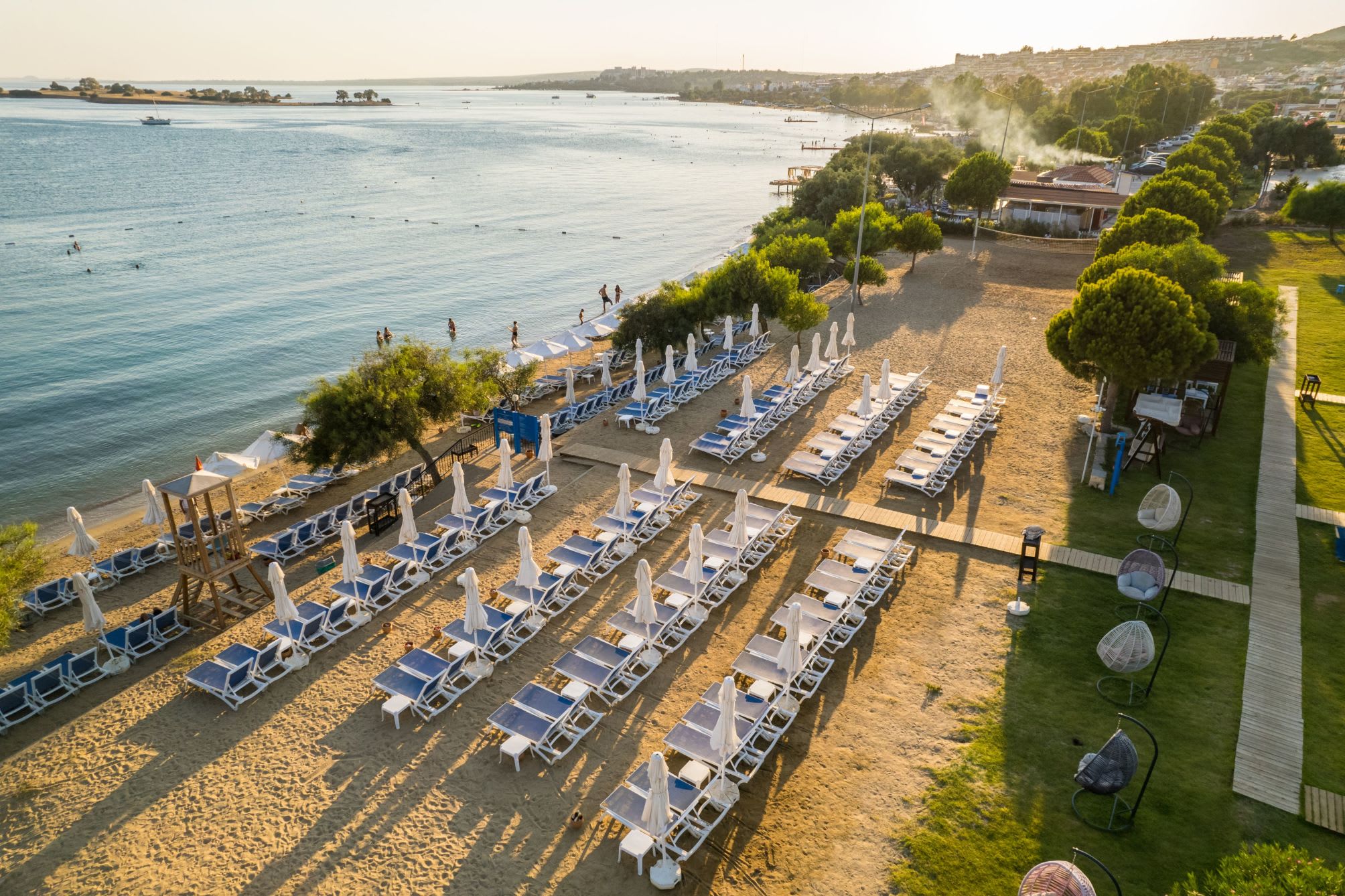 Maxeria Blue Didyma 5