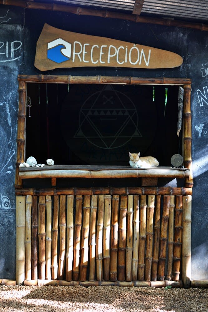 Dreamsea Surf Camp 2