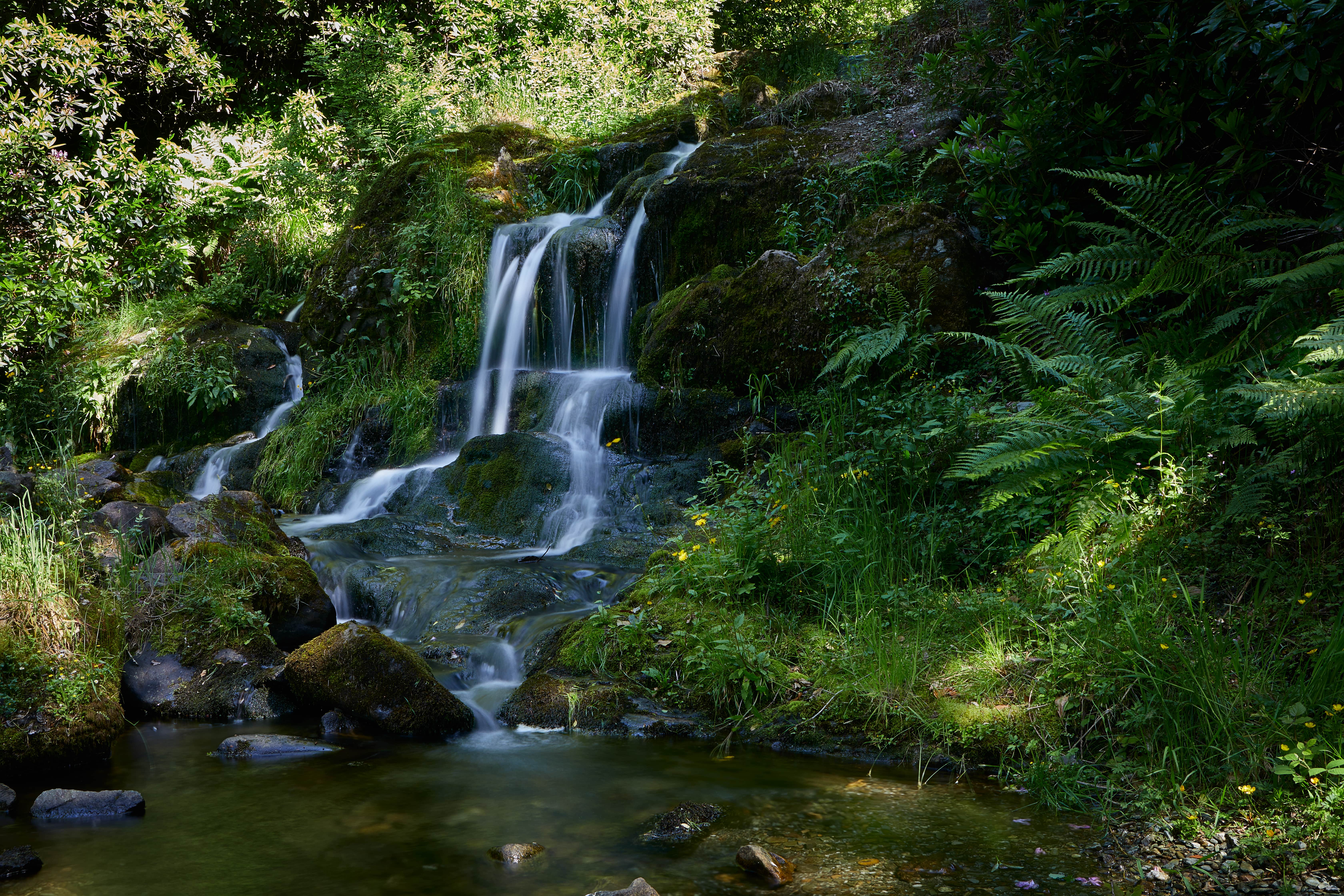 Macdonald Forest Hills Resort 5