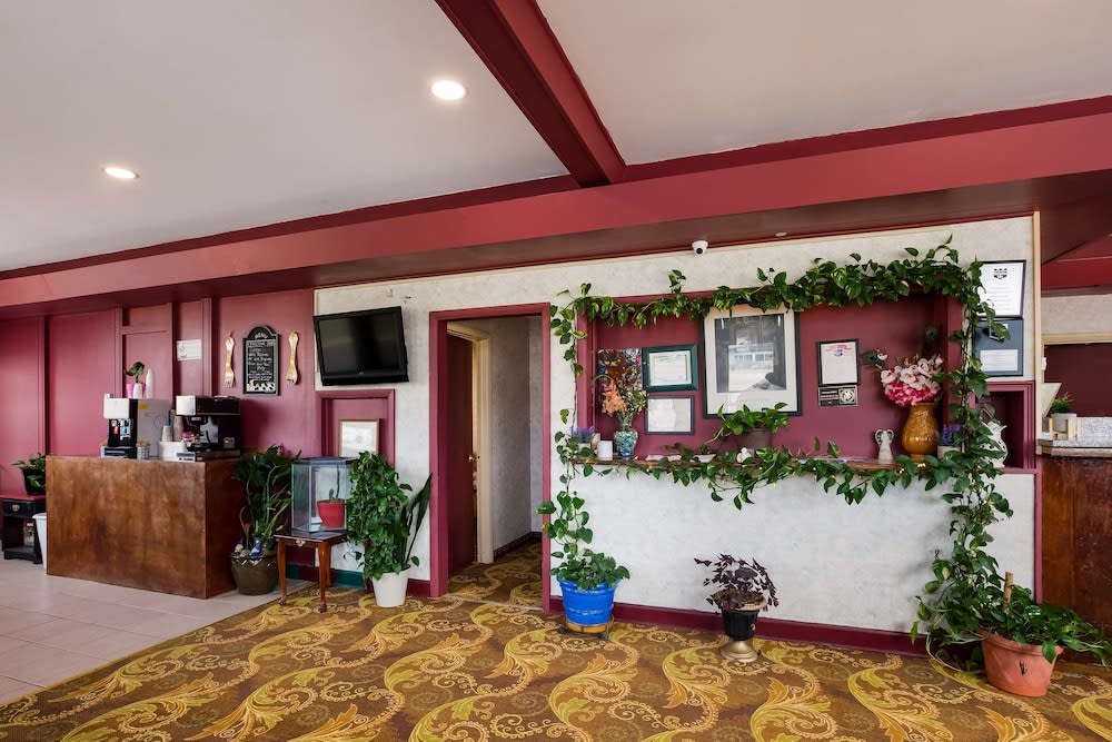 Knights Inn - Fayetteville NC 2
