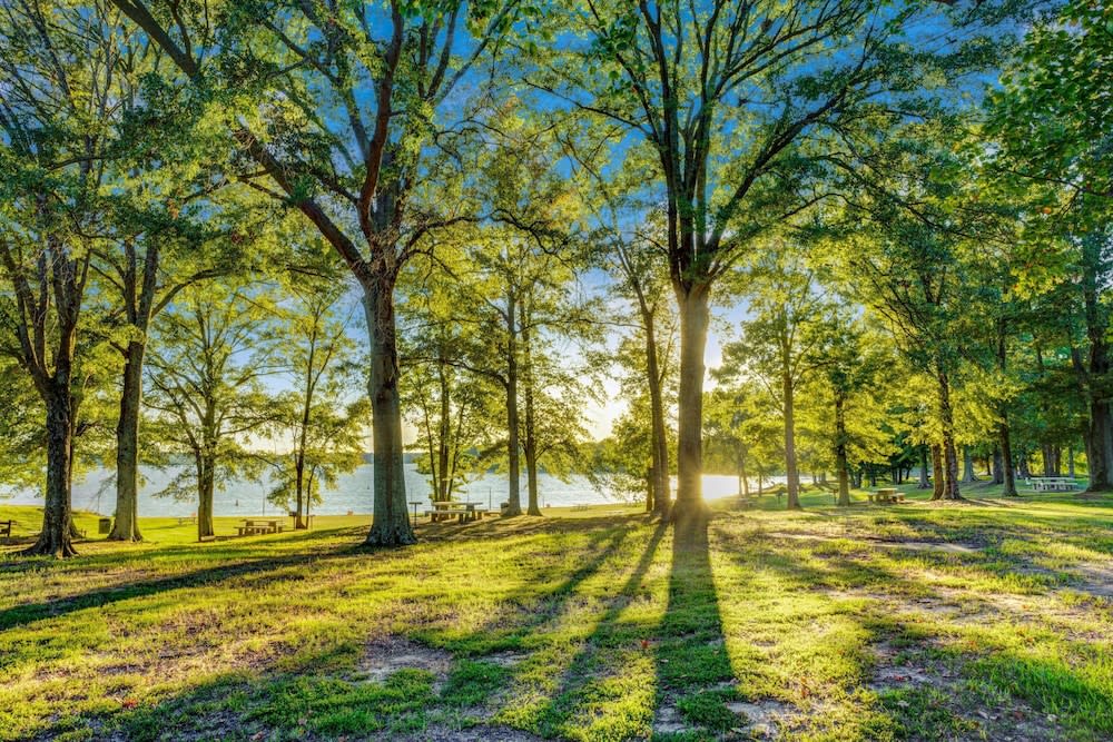 Days Inn by Wyndham Hernando 1