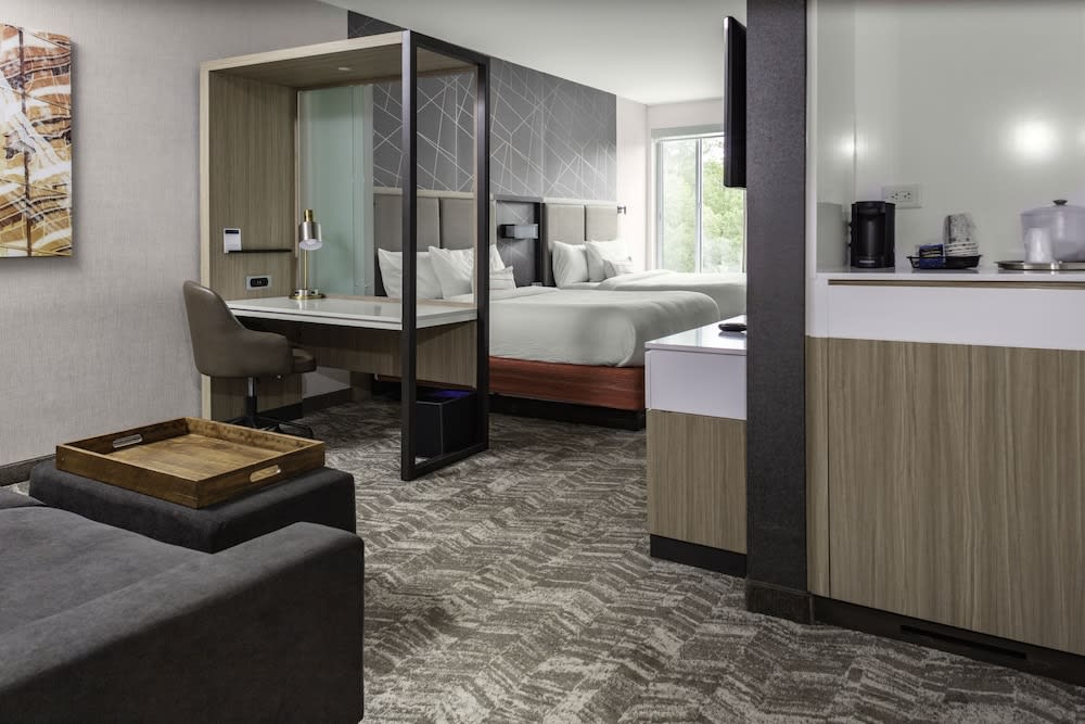 SpringHill Suites Atlanta Alpharetta/Roswell 4