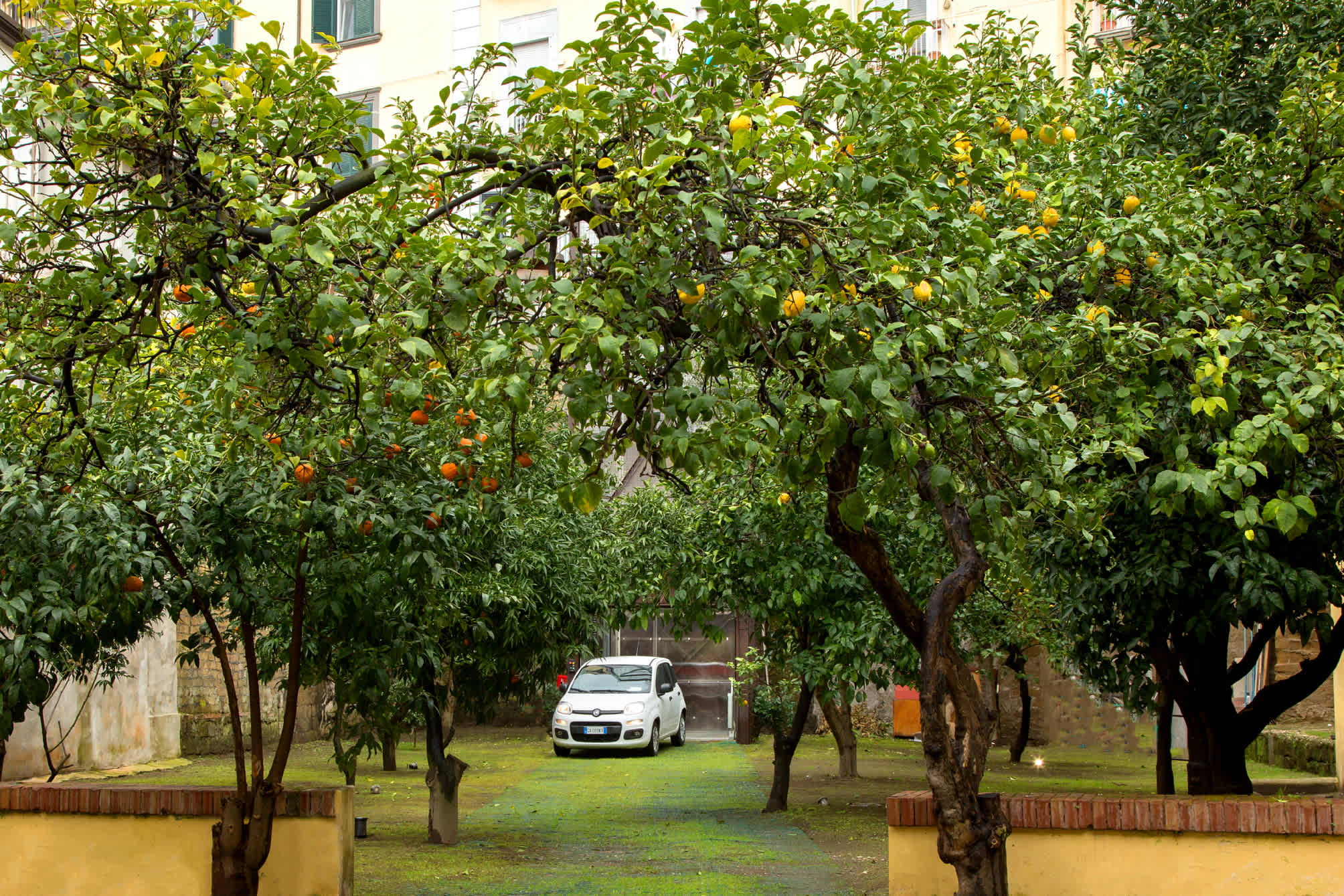 Palazzo Sant'Antonio 5