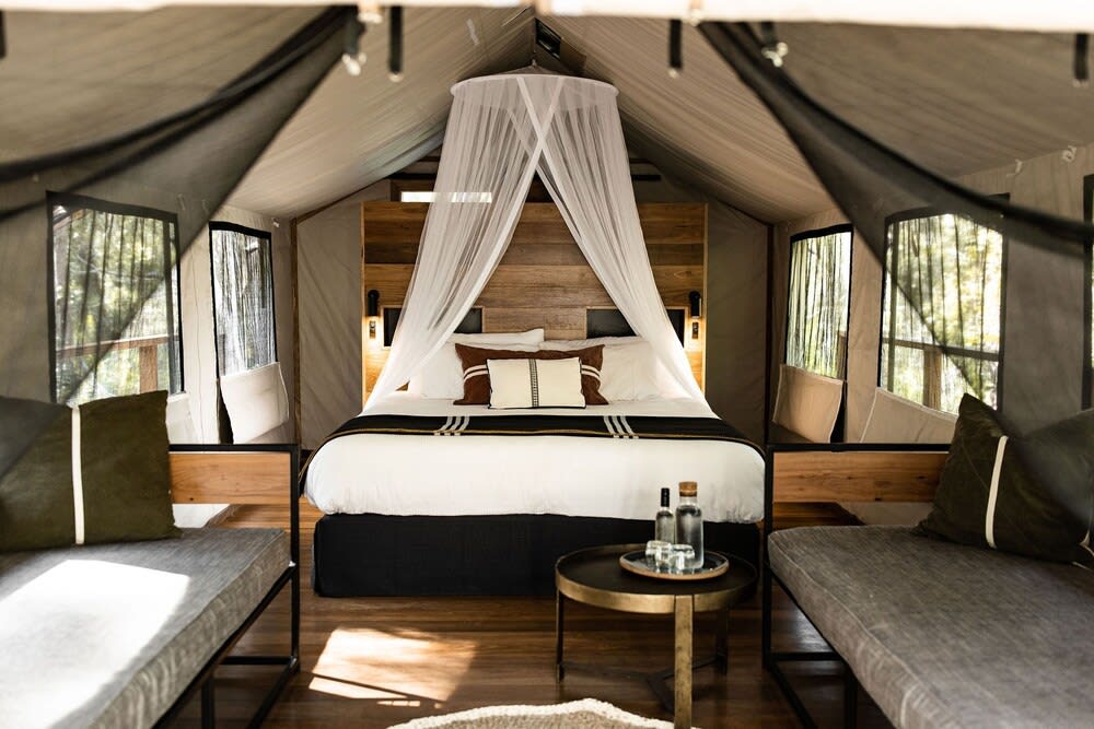Paperbark Camp 2