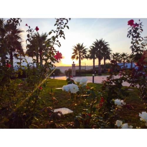 Hotel Donna Carmela Sede Unica a Sciacca 3