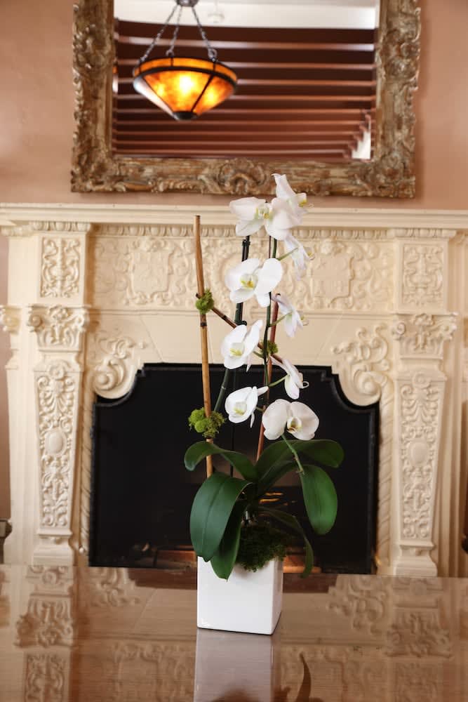 Hotel Carmel Santa Monica 3