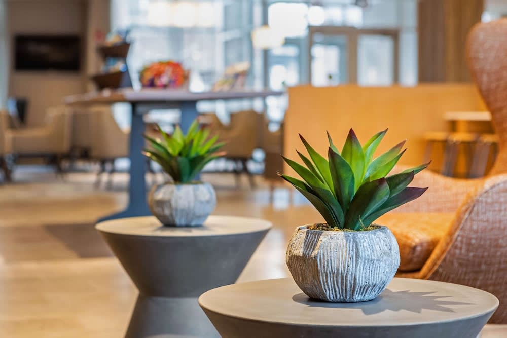 Cambria Hotel Fort Lauderdale Beach 2