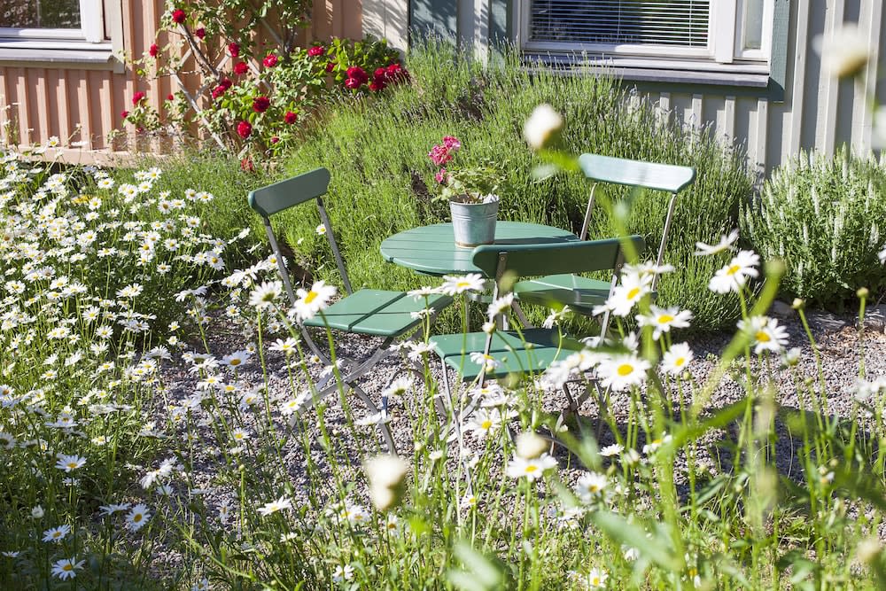 STF Hotel Zinkensdamm 1