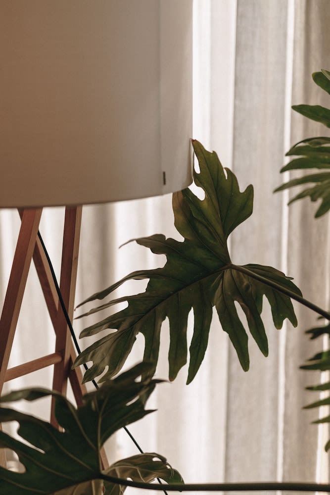 Hotel Schwarzschmied 2