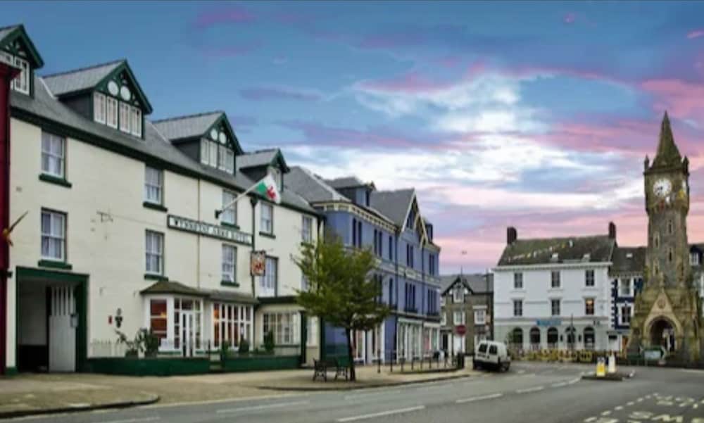 The Wynnstay 1