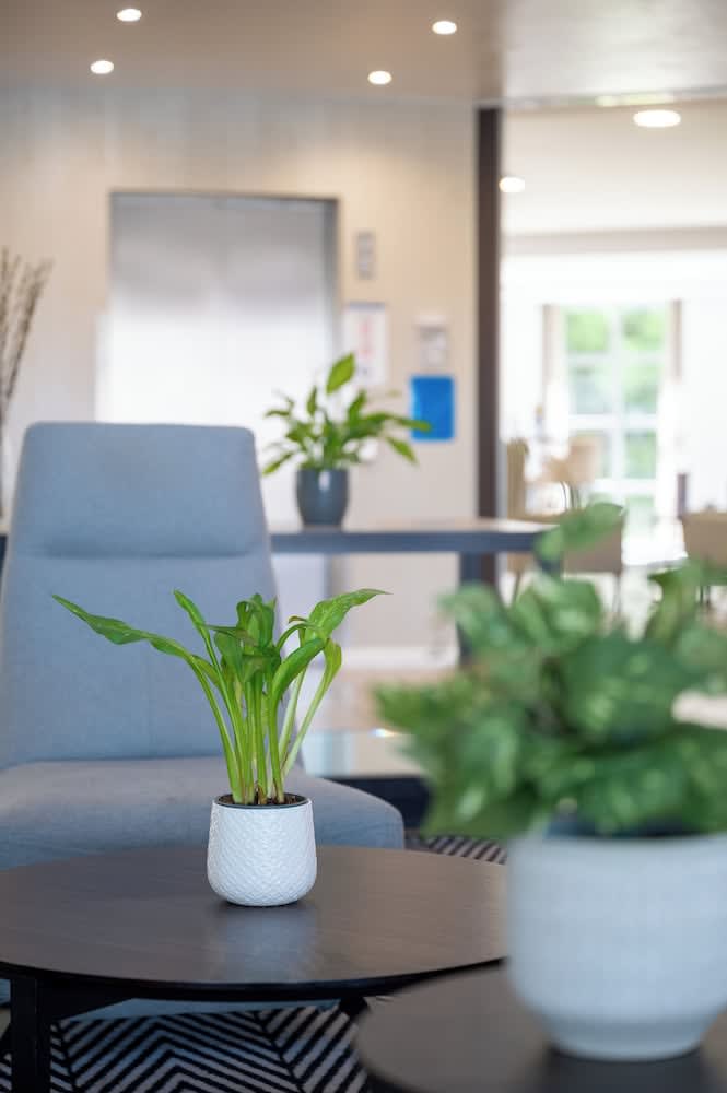 Holiday Inn Express LEIGH - SPORTS VILLAGE by IHG 4