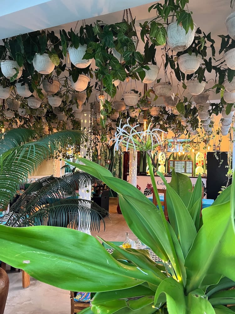Gadea Boutique Hotel& Gadea Garden Italian Restaurant 1