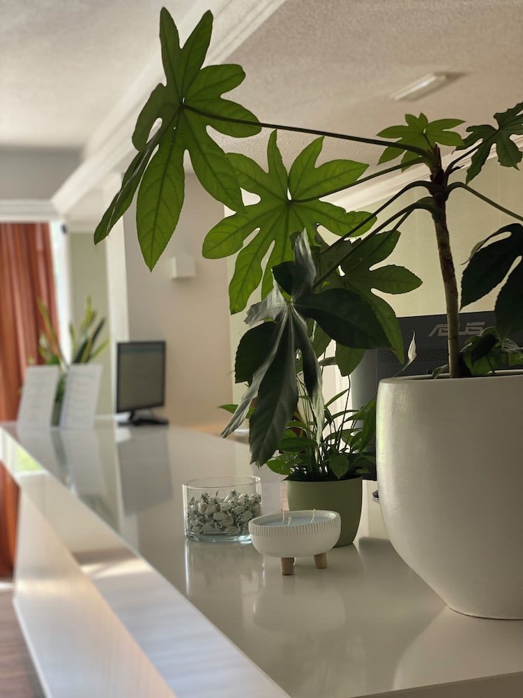 Osprey Menorca Hotel 5