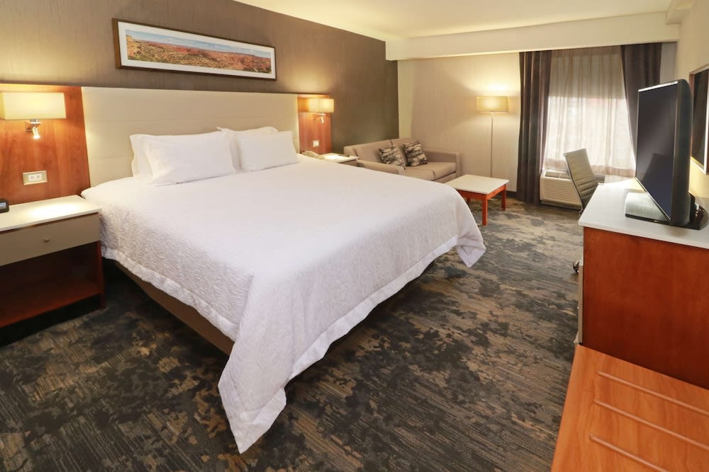 Hampton by Hilton Chihuahua 1