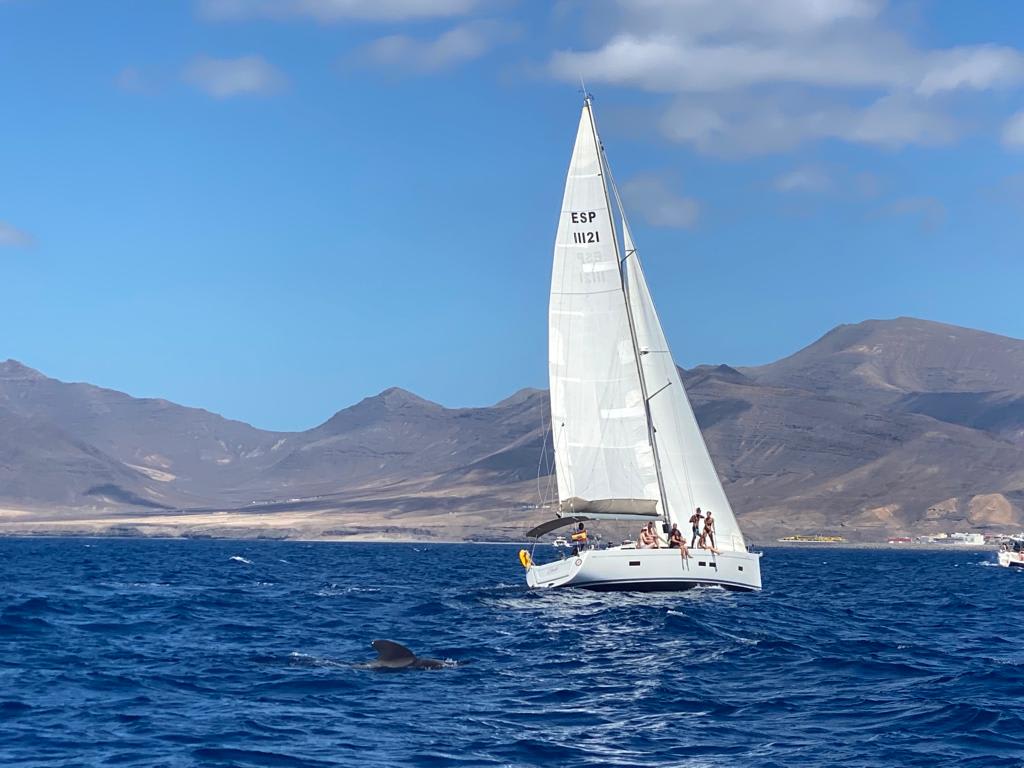 Villas Monte Solana 3