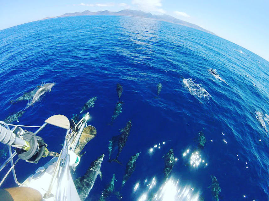 Villas Monte Solana 5