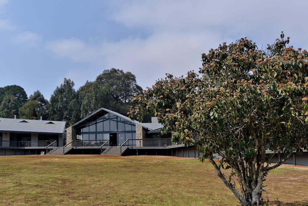 Dunkeld East 1