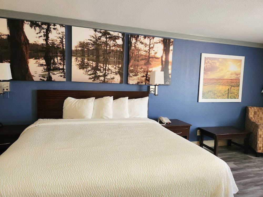 Days Inn by Wyndham Rosenberg 1