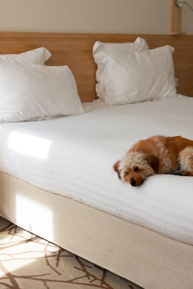 Grand Hotel Francais - ex Best Western 5