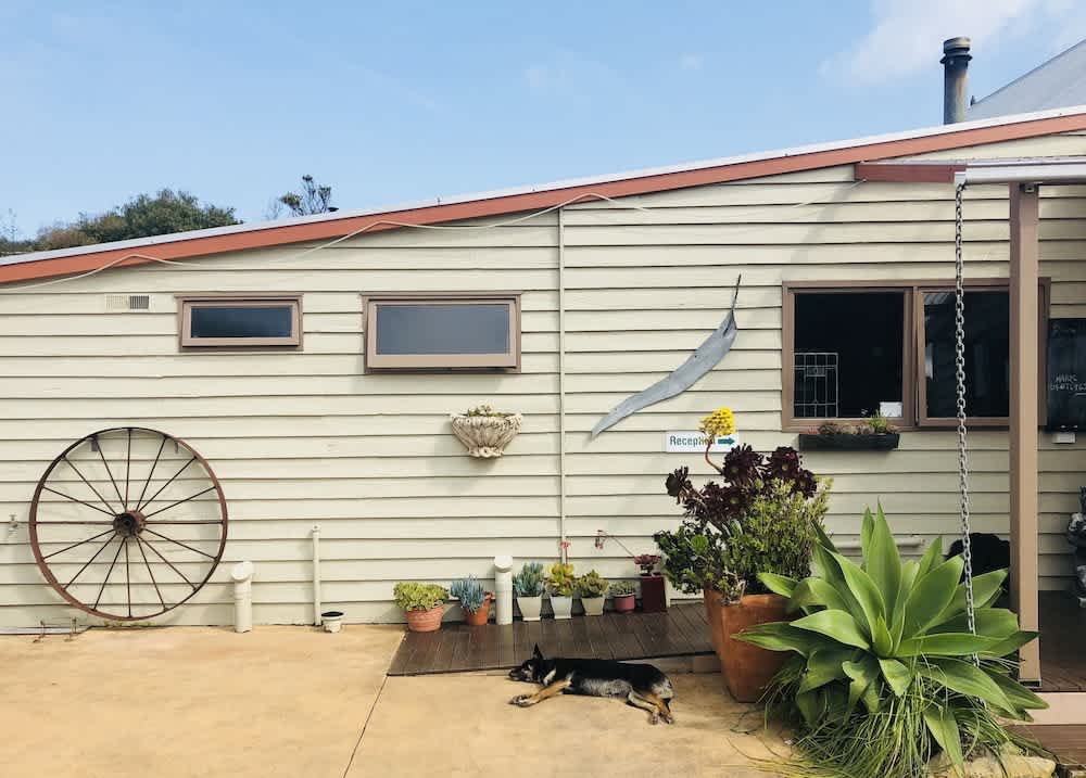 Port Campbell Guesthouse & Flash Packers 2