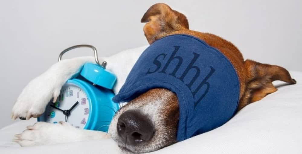 Delta Hotels by Marriott Colchester 4