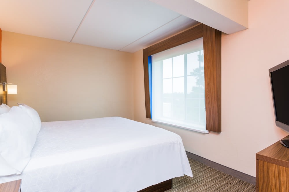 Holiday Inn Express Petersburg by IHG 4