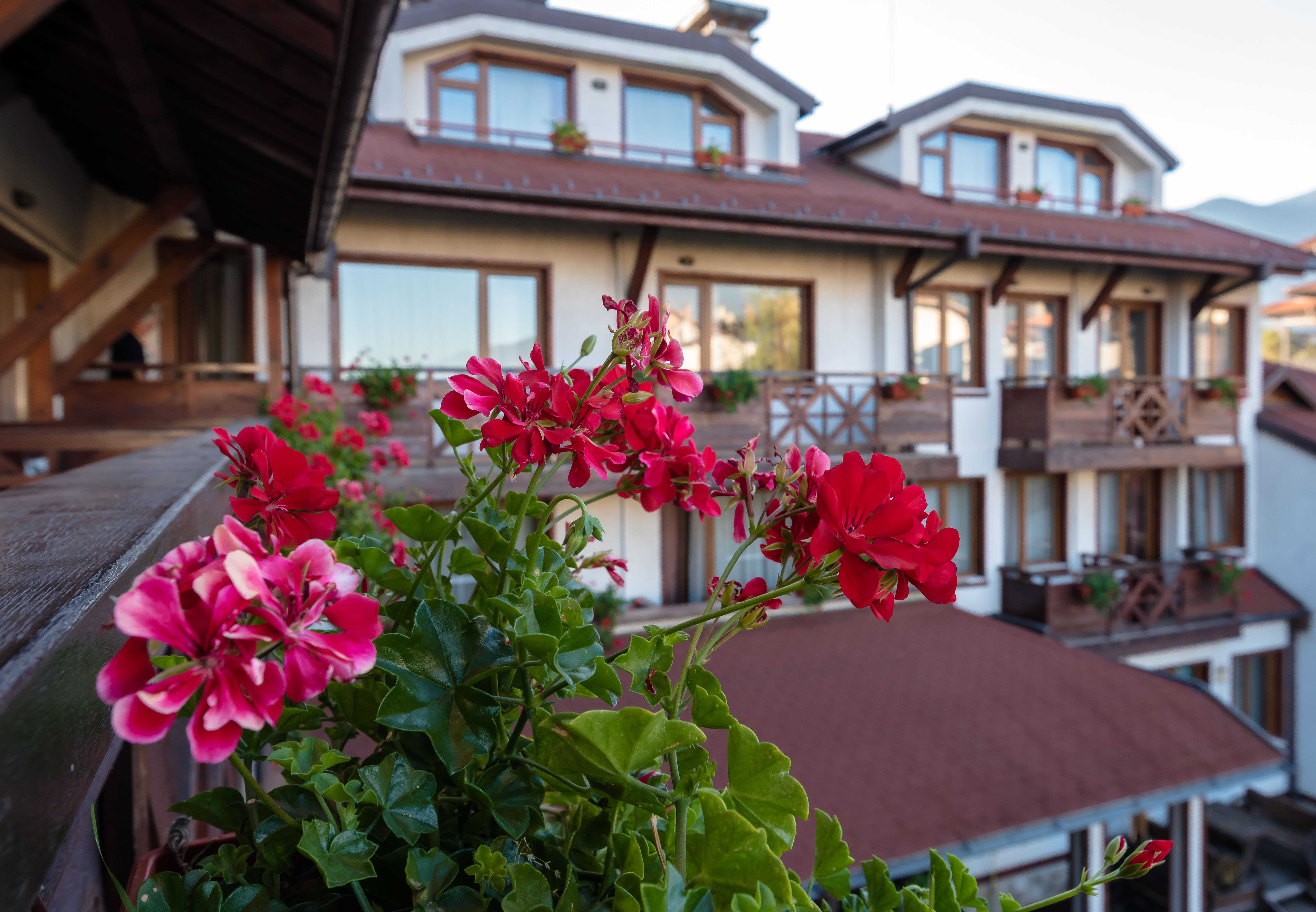 Evelina Palace Hotel 2