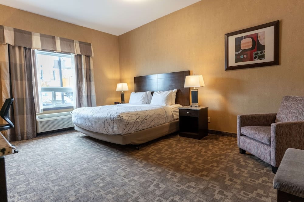 Best Western Plus South Edmonton Inn & Suites 2